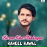Raheel Rawal