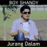 Boy Shandy