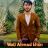 Wali Ahmad khan