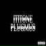 ITITONE, Plugmus