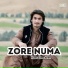 Hussain Aseer