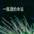 刘宇 (Liu Yu)