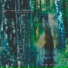 one night in forest
