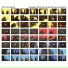 David Cunningham, Yasuaki Shimizu