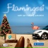 Flamingosi