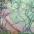 Its Coral