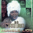 Humble Lion