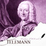 Elisabeth Schollaert, Bram Nolf