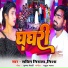 Sachin Nirala, Nisha
