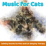 Cat Music Dreams