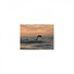 Mindfulness Healing Bgm Project