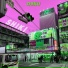 DOKU