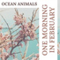 Ocean Animals