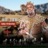 Thabani Nxumalo