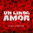 Vizo Vicente