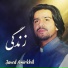 Javed Amirkhil