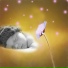Good Night My Sweetie