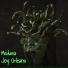 Joy Orleans