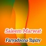 Saleem Marwat