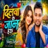 Heera Sargam