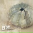 Erizo