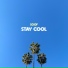 Soof