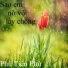 Phú Tiến Phú