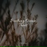 Sleepy Times, Yoga Soul, Sleep Makers Samples