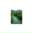 Mindfulness Healing Sleep BGM Project
