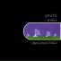 Youth Novel
