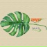 Zevit