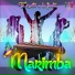 Marimba, Grandes Marimbas