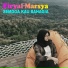 Firyal Marsya