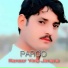 Paroo