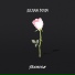 Kally