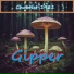 ChobNet-1981