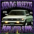 Pink Shine Records, SHINING BREEZZE