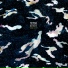 Memória De Peixe
