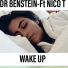 Dr Benstein feat. Nico T