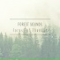 Forest Sounds