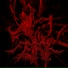 SLYMXNE