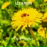 lizarion