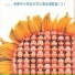 新时代小星星组合