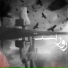Mehrab