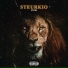 STEKI