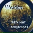 Weldon
