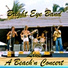 Bright Eye Band