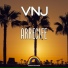Vnj