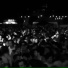Gary D. [waptorrent.ru]