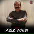 Aziz Waisi